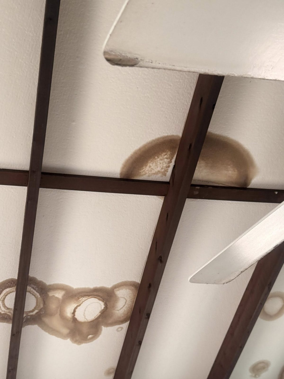 Before: beam ceiling stained dark with water marks